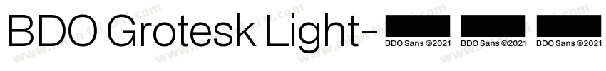 BDO Grotesk Light字体转换